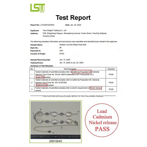 Western Metal Oval Concho Chain Belt For Women Silver Cowgirl Belt For 3132 - Picture 2 of 9